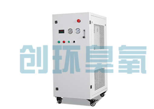 红河石斑鱼养殖水质调控完整指南:臭氧发生器配置与操作步骤
